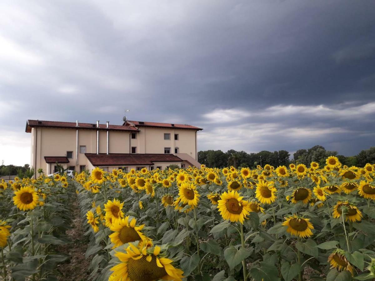 Al Cavaliere Βίλα Pordenone Δωμάτιο φωτογραφία