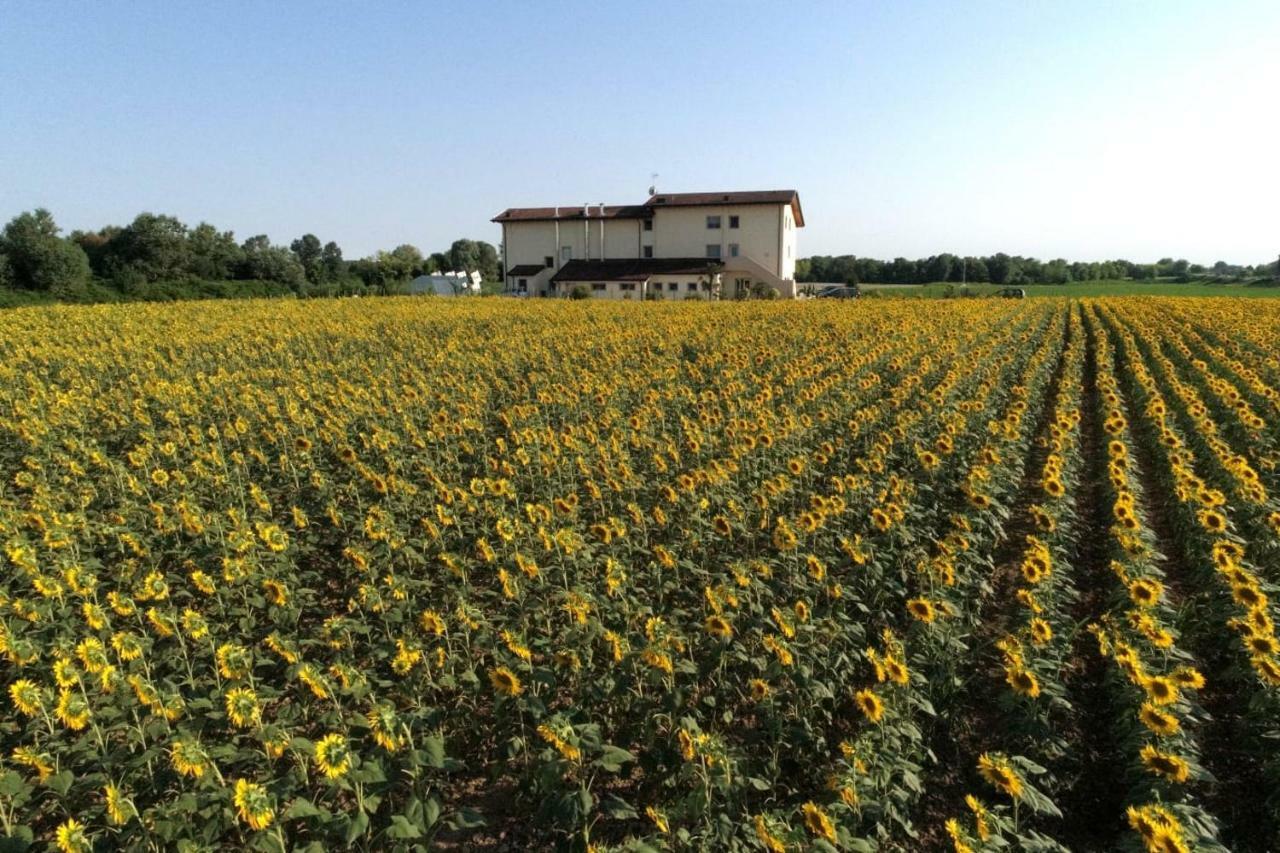 Al Cavaliere Βίλα Pordenone Εξωτερικό φωτογραφία